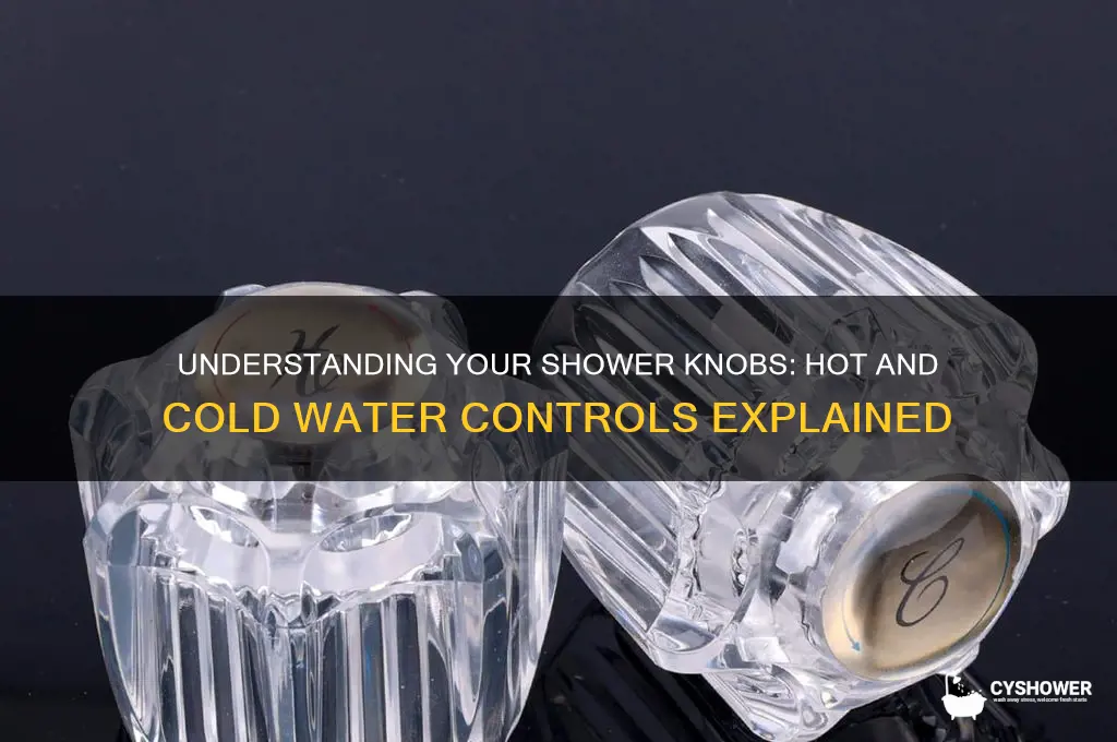 what are the shower knobs called hot and cold water