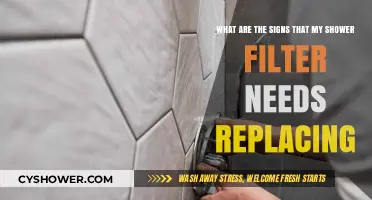Shower Filter Replacement: Key Signs It’s Time for a Change