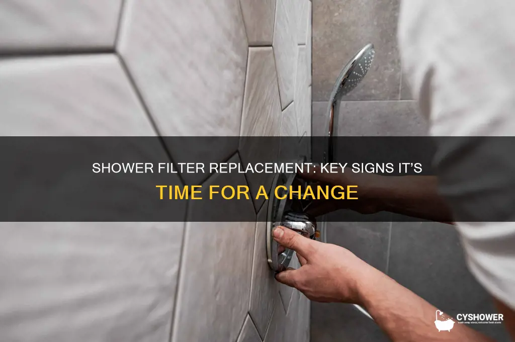 what are the signs that my shower filter needs replacing