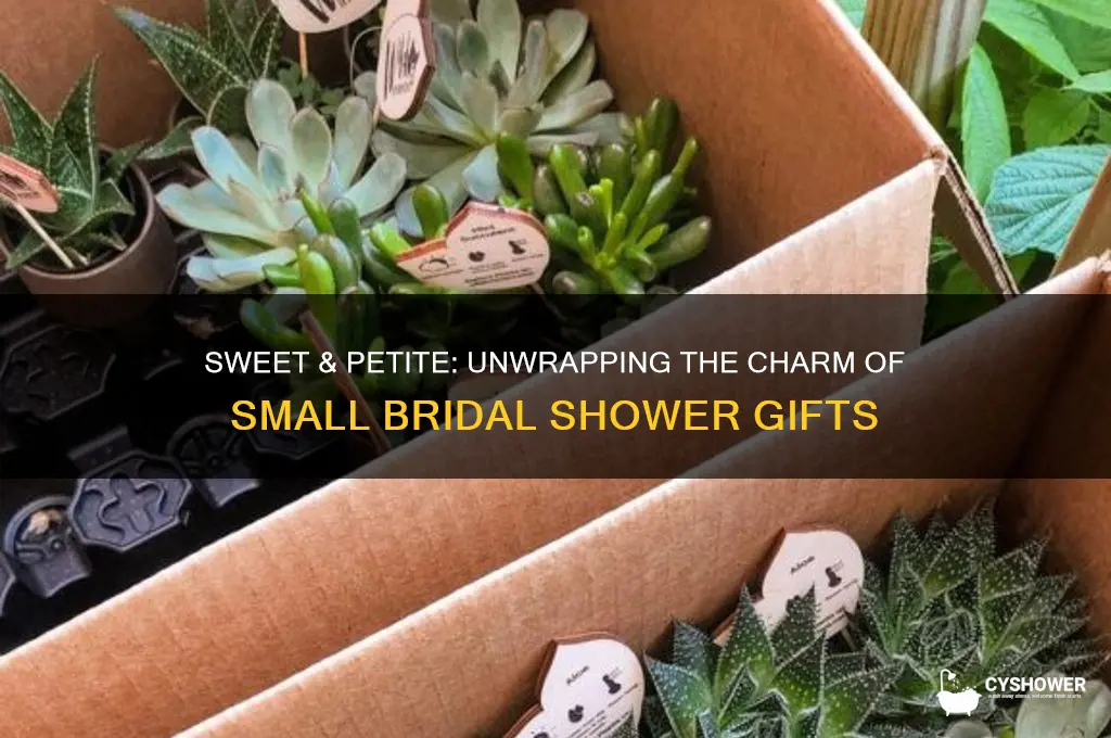 what are the small bridal shower gifts called