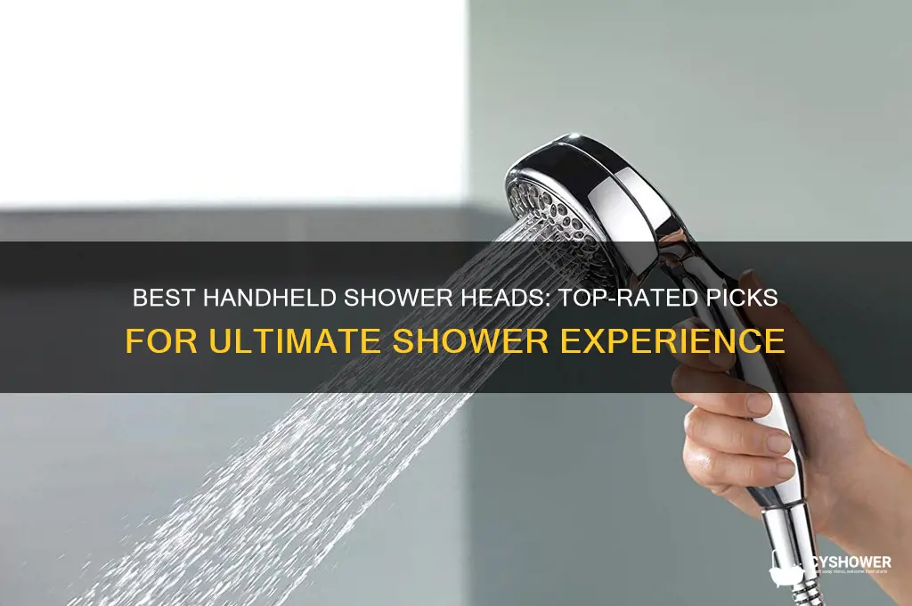 what are the top rated handheld shower heads