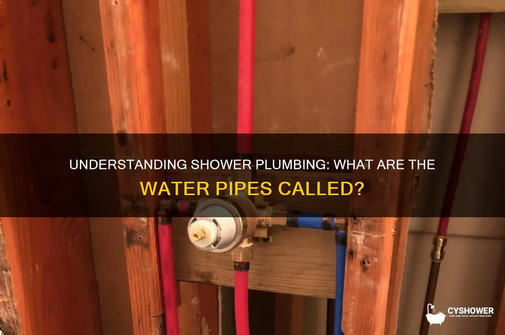 what are the water pipes going into the shower called