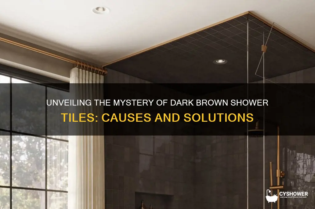 what are these dark brown tiles in shower