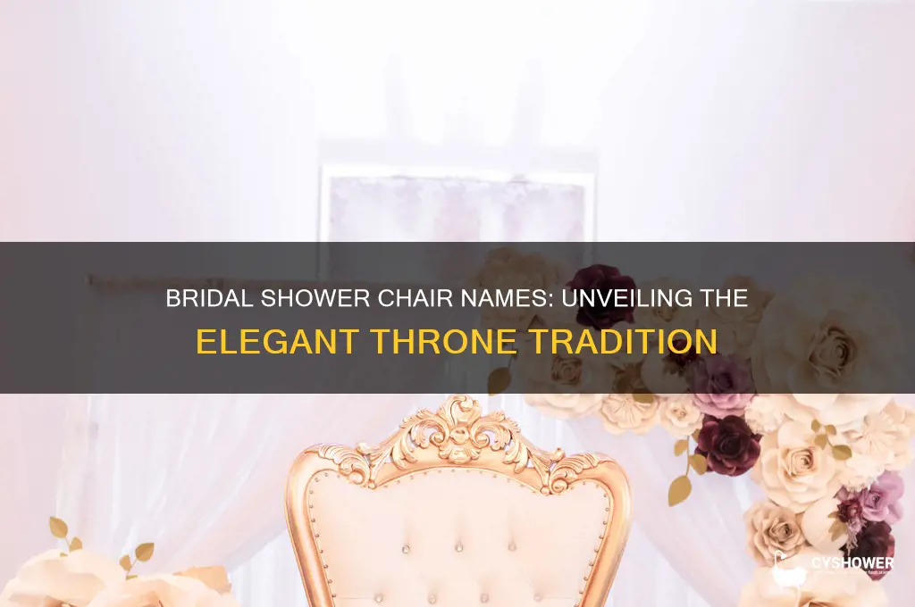 what are those bridal shower chairs alled