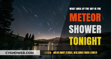 Tonight's Meteor Shower: Where to Look in the Night Sky