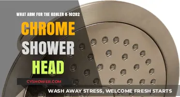 Kohler K-10282 Chrome Shower Head: Best Arm Options