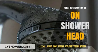 Hidden Dangers: Uncovering Bacteria Lurking in Your Shower Head