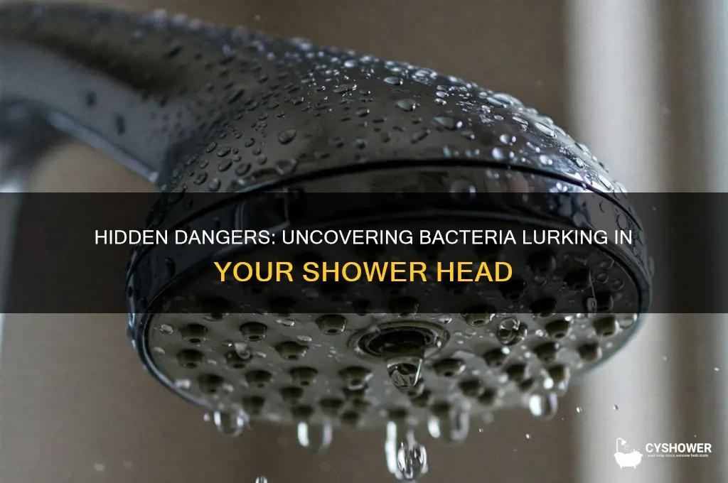 what bacteria can be on shower head