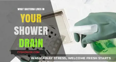 Unseen Shower Drain Bacteria: What's Lurking in Your Bathroom?
