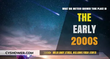 The Leonid Meteor Shower: A Spectacular Early 2000s Celestial Event