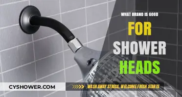 Top Shower Head Brands: Quality, Durability, and Performance Compared