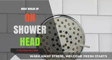 Unveiling the Culprit: What Builds Up on Your Shower Head