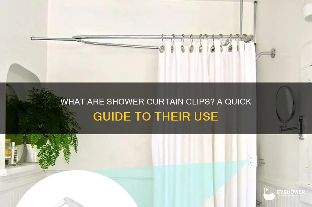 what call shower curtain clip