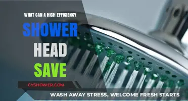Maximize Savings: High Efficiency Shower Heads Cut Water and Energy Costs