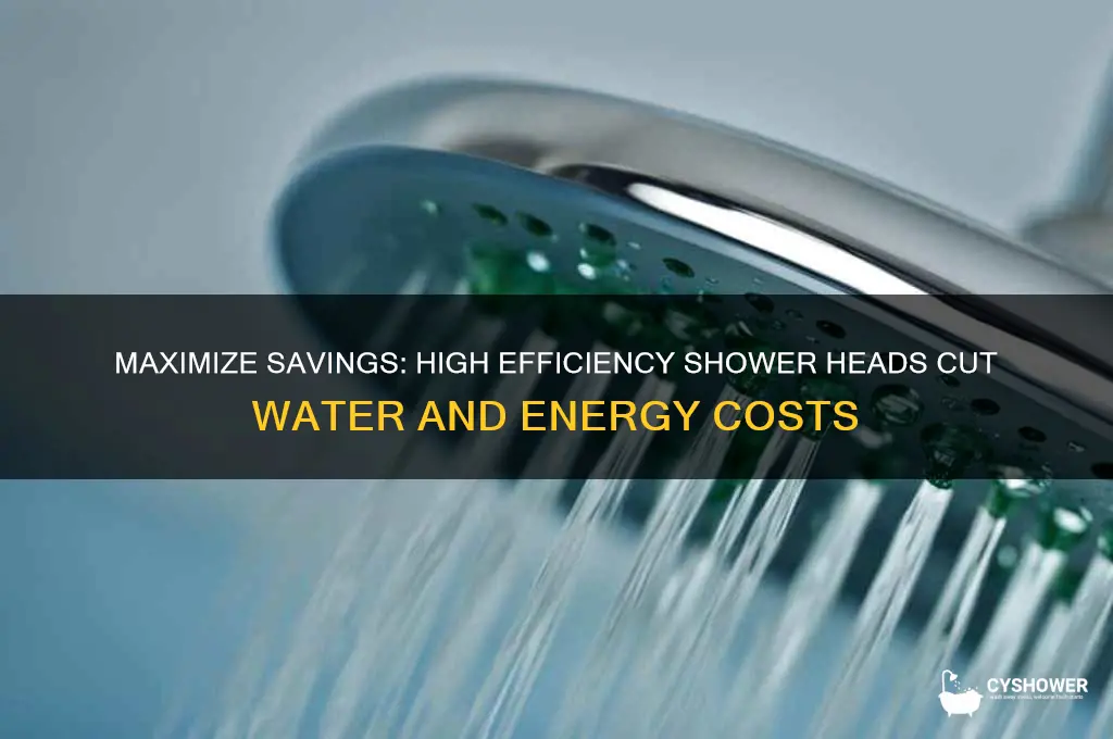 what can a high efficiency shower head save