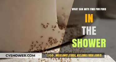 Ants in the Shower: Uncovering Their Unexpected Food Sources