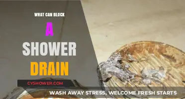 Common Culprits: What Can Block a Shower Drain and How to Prevent It