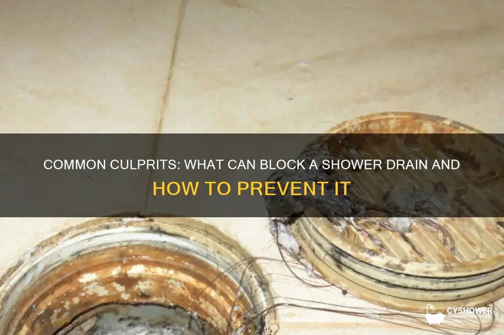 what can block a shower drain