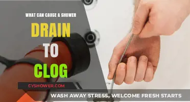 Common Causes of Shower Drain Clogs and How to Prevent Them