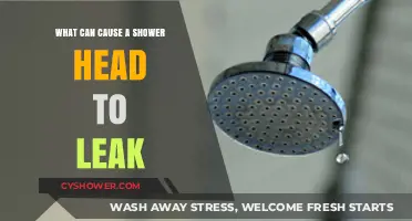 Why Is Your Shower Head Leaking? Common Causes and Fixes