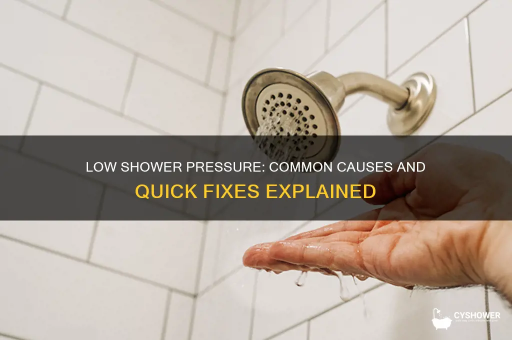 what can cause lower shower water output