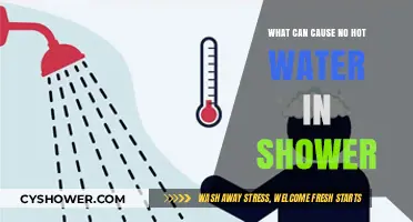 Why Your Shower Has No Hot Water: Common Causes Explained