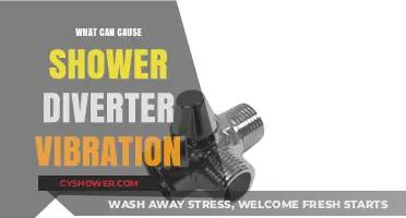 Why Your Shower Diverter Vibrates: Common Causes and Fixes