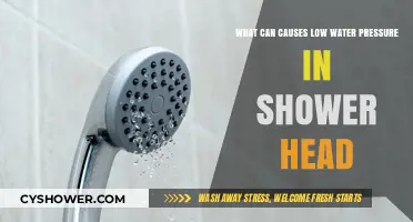 Why Your Shower Head Has Low Water Pressure: Common Causes Explained