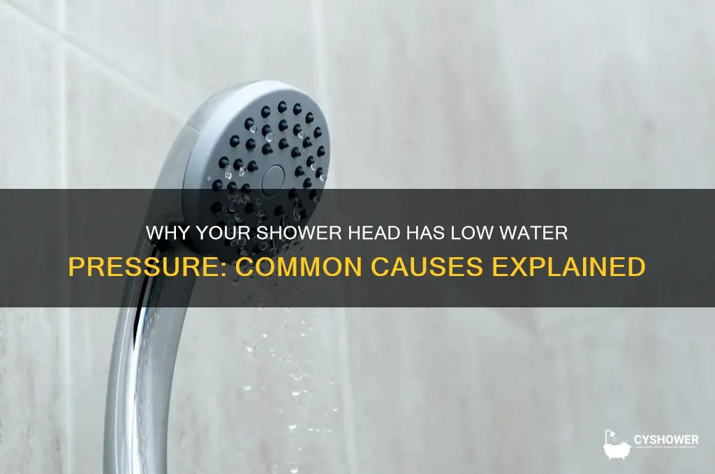 what can causes low water pressure in shower head
