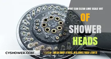 Effective Ways to Remove Lime Scale from Shower Heads Easily