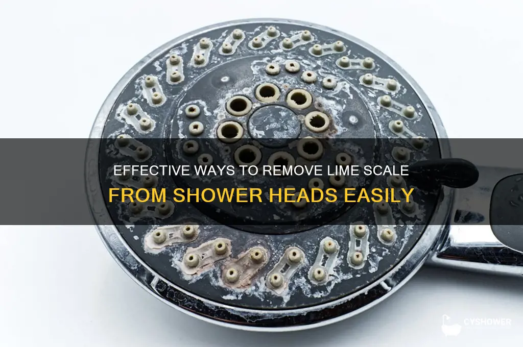 what can clean lime scale out of shower heads