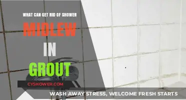 Effective Ways to Eliminate Shower Mold in Grout Permanently