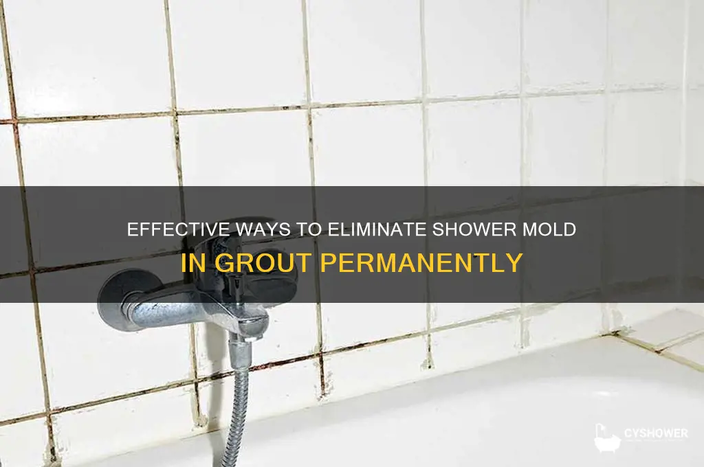 what can get rid of shower midlew in grout