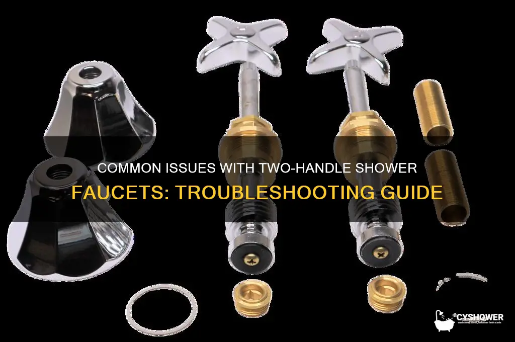 what can go wrong with 2 handle shower faucet