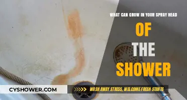 Shower Spray Head Surprises: Uncovering Unwanted Growth in Your Bathroom