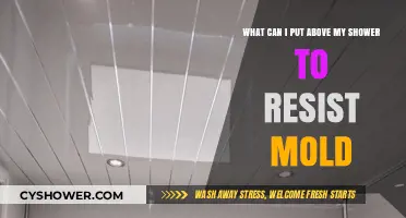 Effective Mold-Resistant Solutions for Above Your Shower Area