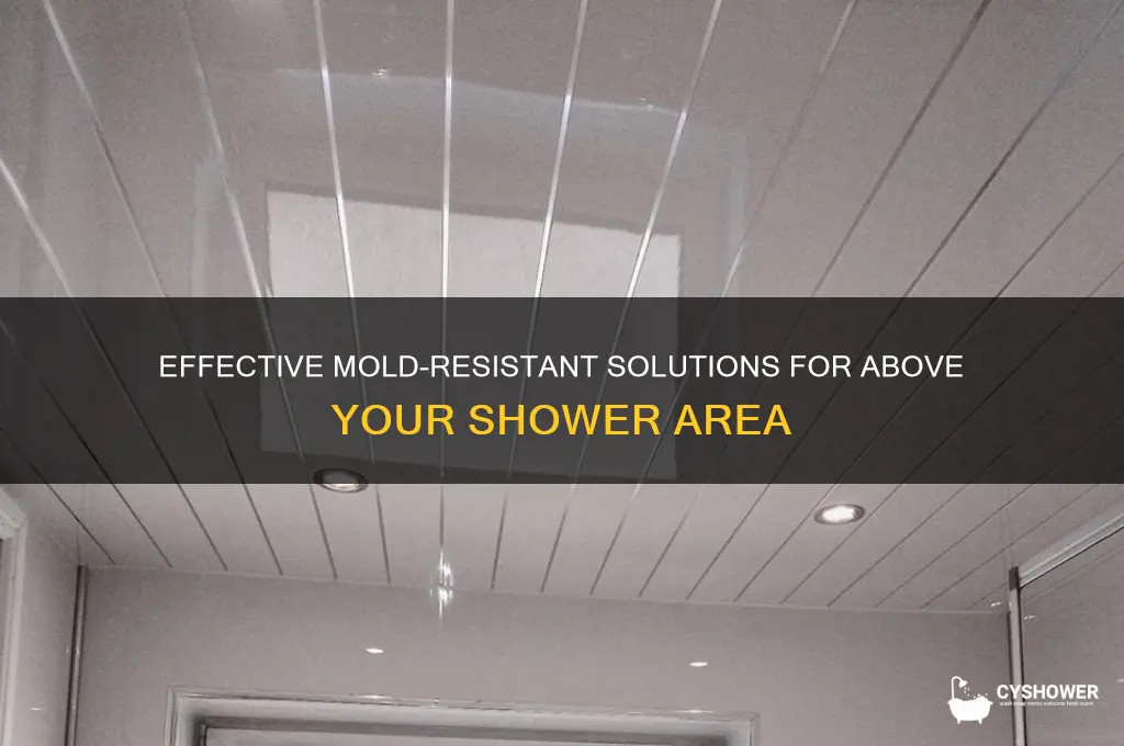 what can i put above my shower to resist mold