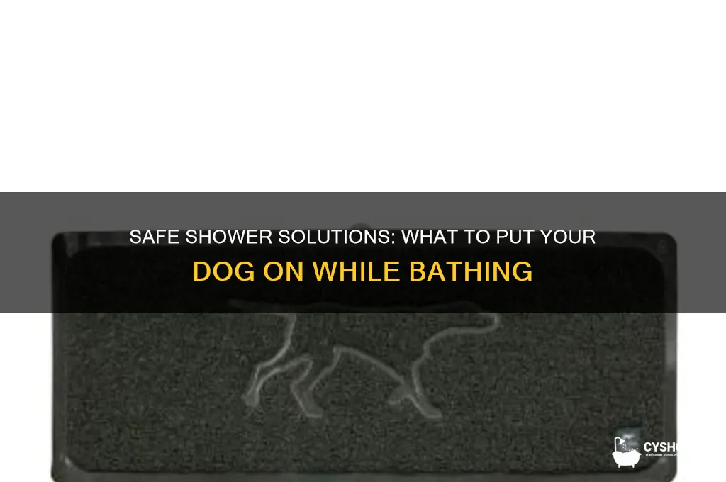 what can i put my dog on in shower