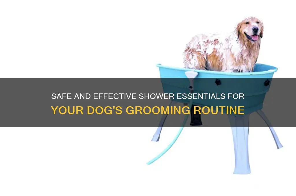 what can i shower my dog with