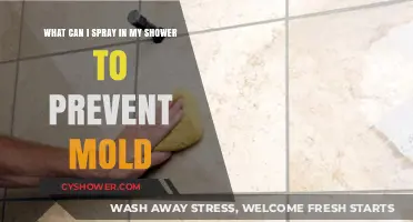 Effective Shower Sprays to Prevent Mold Growth and Keep Clean