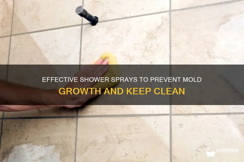 what can i spray in my shower to prevent mold