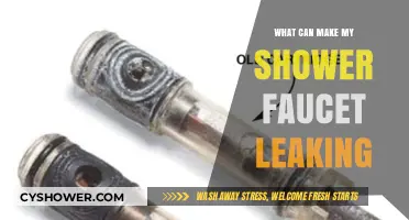 Why Your Shower Faucet is Leaking and How to Fix It