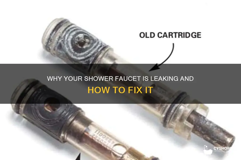 what can make my shower faucet leaking