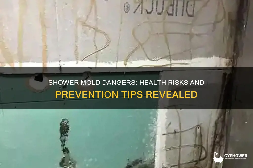 what can mold in shower do