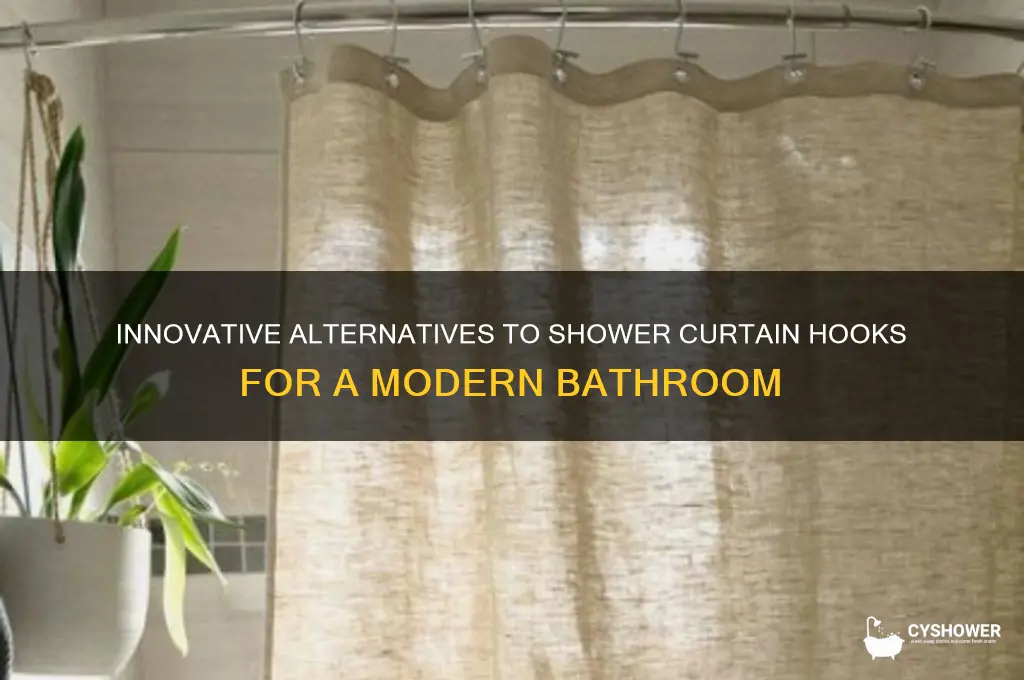 what can replace shower curtain hooks