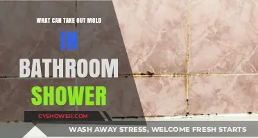 Effective Ways to Remove Mold from Your Bathroom Shower