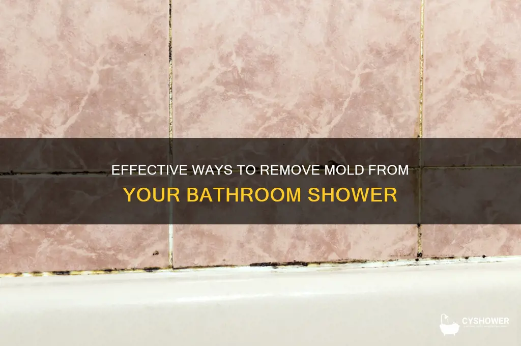 what can take out mold in bathroom shower
