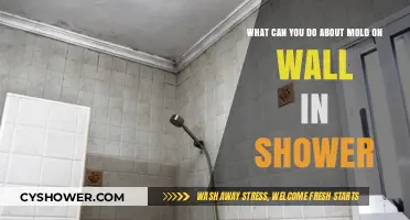 Effective Ways to Tackle and Prevent Mold on Shower Walls