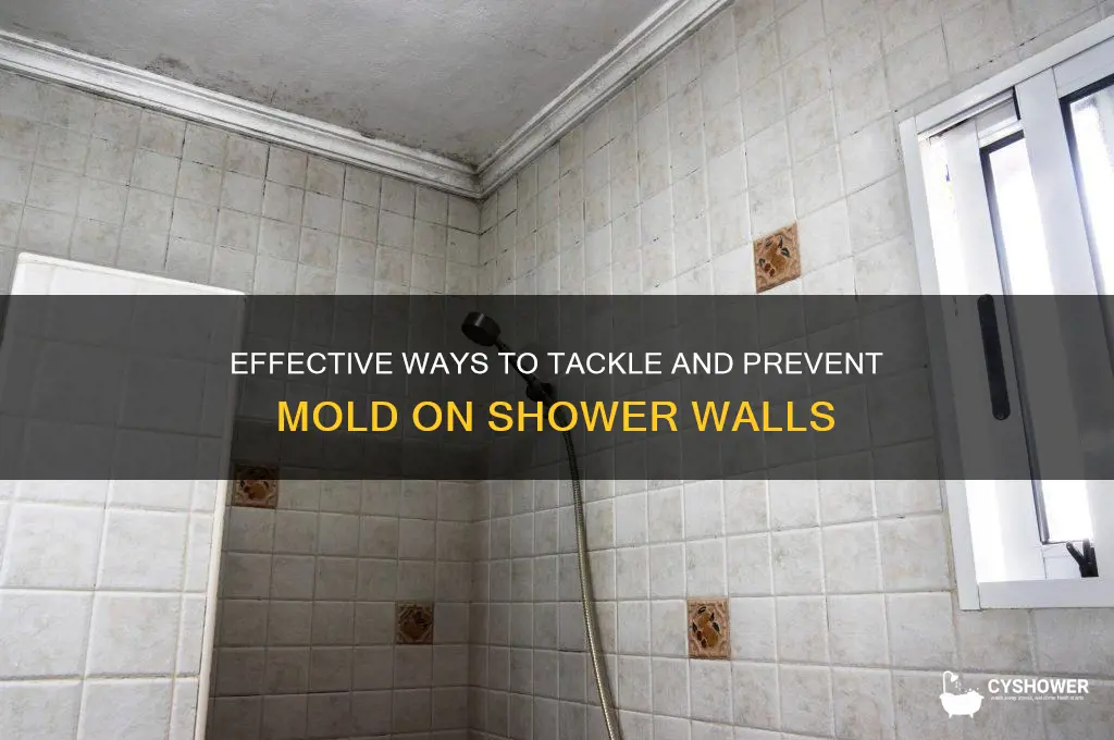 what can you do about mold on wall in shower