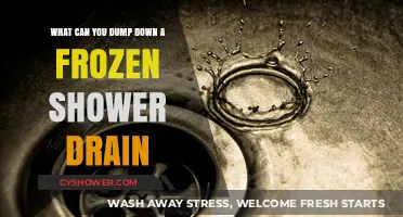 Unclogging Frozen Shower Drains: Safe and Effective Solutions to Dump